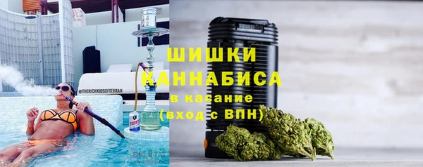 шишки Богданович