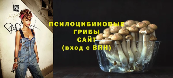 тгк Богородицк