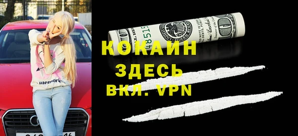 шишки Касимов