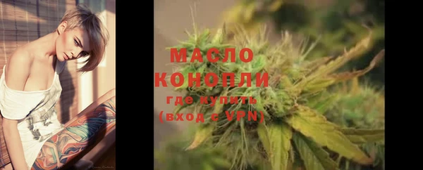 тгк Богородицк