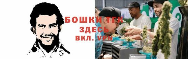 тгк Богородицк