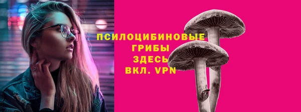шишки Богданович