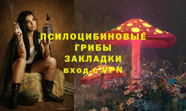 тгк Богородицк