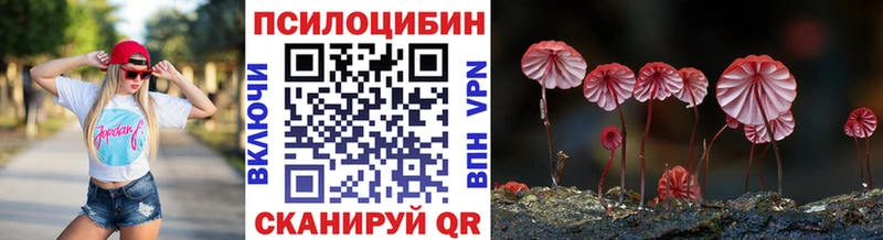 наркота  Киржач  Псилоцибиновые грибы мицелий 